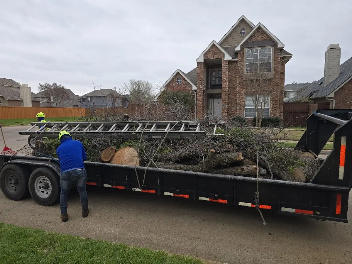 Expert Tree Fertilization with proper safety equipment in Chappells